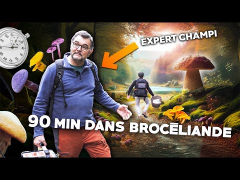 Défié par un PRO : Cueillette et Cuisine de Champignons !