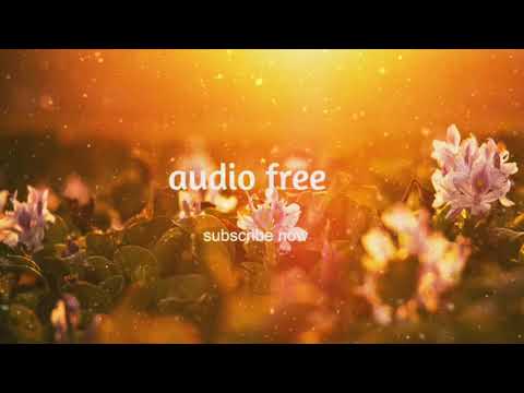 SET MANDELÃO DOS FLUXOS - DJ CRIS FONTEDOFUNK #AudioFree #NoCopyrigthMusic