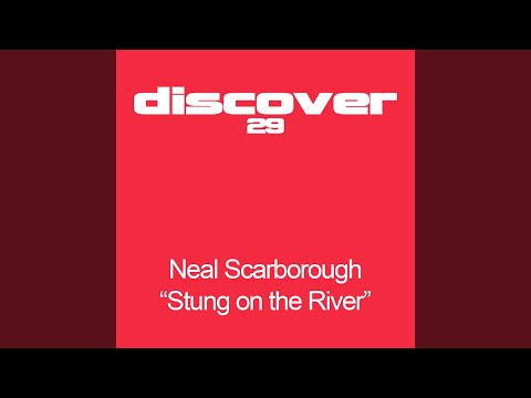 Stung On River (Original Mix)