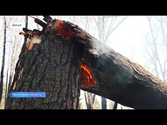 Горят леса!