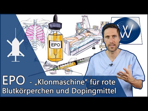 EPO: Hormone & Doping Agent - The "Cloning Machine" for Red Blood Cells & Better Endurance