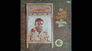 Washboard Sam ~ Evil Blues