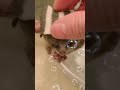 小さなお猿