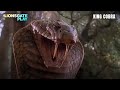 King Cobra Movie Scene Casey Fallo Scott Hillenbrand Pat Morita Lionsgateplay