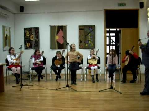 fluturas nu mai ai aripioare Ansamblul Mandoline