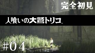 【初見プレイ】目が覚めたら大きなワシがいた Part.4【人喰いの大鷲トリコ/ネタバレ注意】