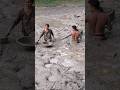 Amazing Village Woman Catching Huge Catfish By Hand In Deep Mudd Fishing Catfish Fish Shorts