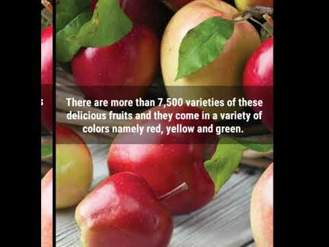 Apple amazing health benefits