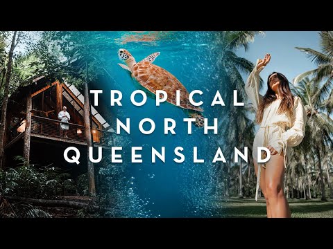 Epic Queensland Road Trip: Cairns, Port Douglas, Cape Tribulation, Atherton Tablelands (Travel Vlog)