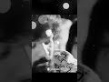 Padukkai Virithu Poten LOVESADSONG