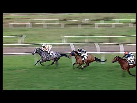 Trotto 11/01/2021 - 3ª corsa