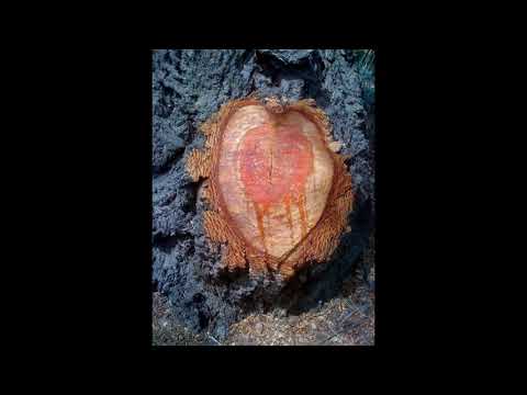 Ofra Haza | Galbi (Original 1984 Version) | My Heart | Arabic and English Subtitles