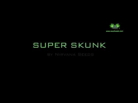 SUPER SKUNK.mov