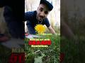 Turning A Field Of Dandelions Into The Ultimate Gift