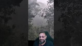 O vídeo mais lindo do mundo, macaquinhos se ajudando! Teu dia será mais feliz hoje com esse vídeo!