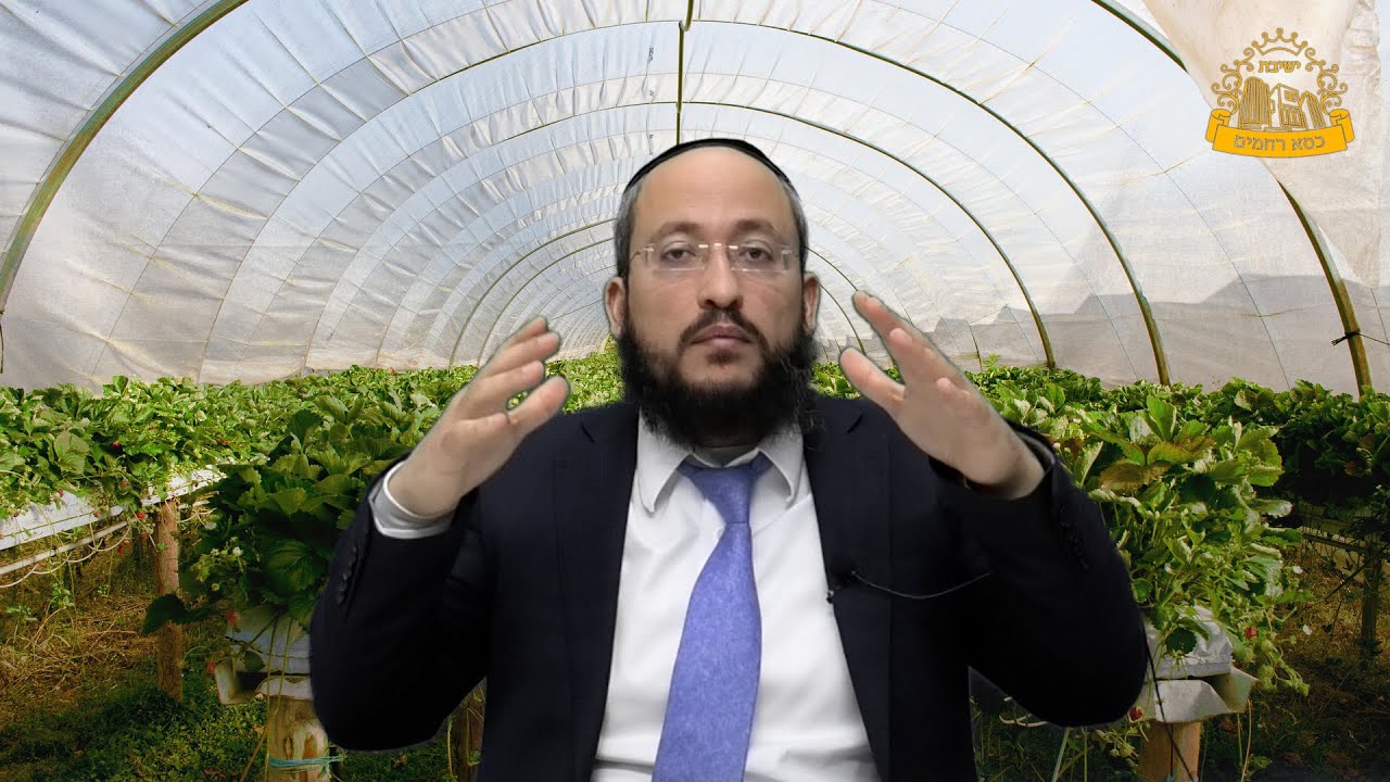 "האם גידולי מים חייבים במעשרות? הרב אברהם חדאד מסביר | ארץ חמדה"