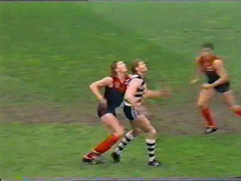 1989 VFL Semi Final - Geelong V Melbourne