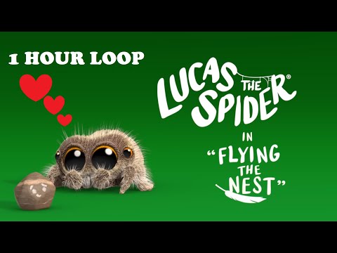 LUCAS THE SPIDER | FLYING IN THE NEST 1 HOUR LOOP