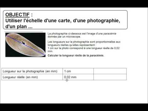 CYCLE 4- Utiliser l'échelle d'une photographie
