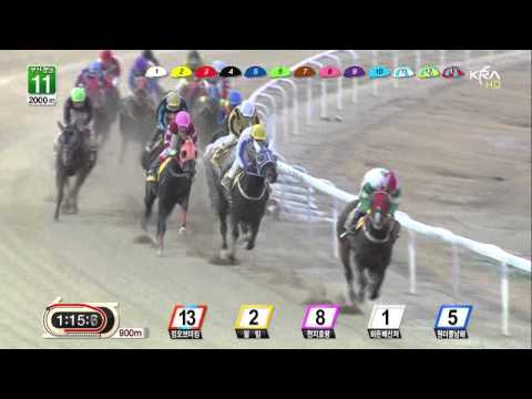 Khaosan - Class 1, Busan Racecourse - Feb 15, 2013