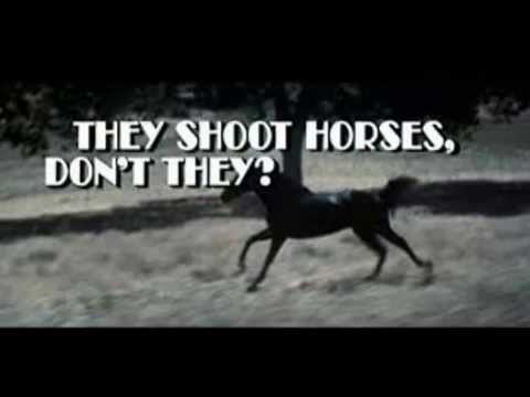 Coracle Joe - They Shoot Horses Don't They?