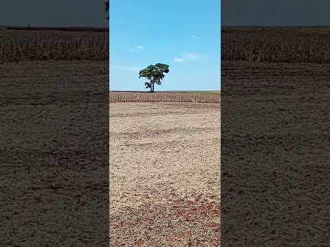 onde tinha a venda no 12, estrada itamarati, são jorge do ivaí Paraná Brasil