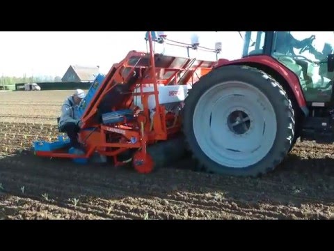 Lauwers TML Trayplanter