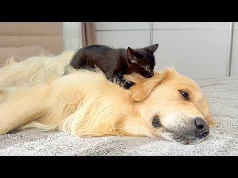 YouTube 썸네일