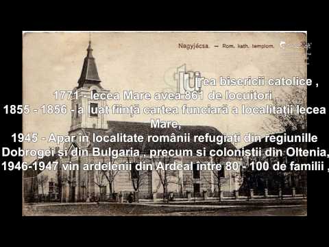 Biografie Iecea Mare