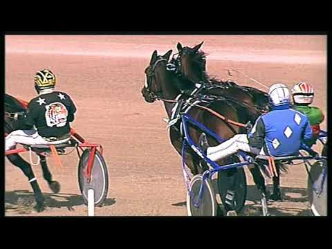 Trotto 18/10/2020 - 4ª corsa