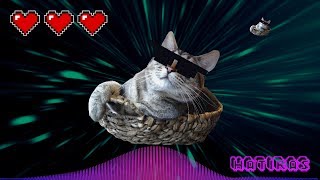 Take This and Shove It - Hatiras