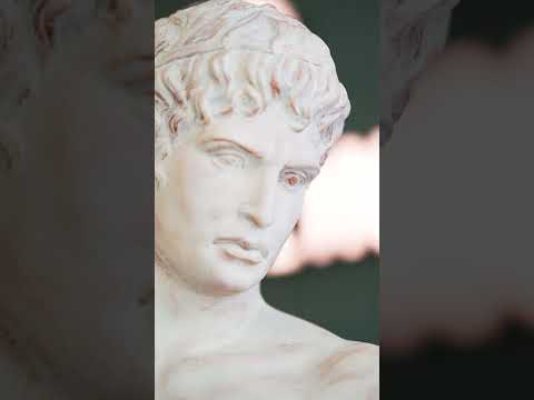 A Comfort That Will Make You Feel Comfortable While Being Treated - Lycian Clinic