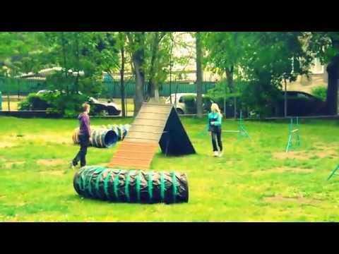 Agility (trénink ačka)