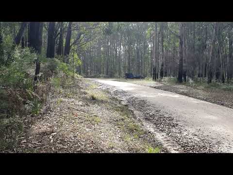 speno rail grinder horn pt2 (read description)