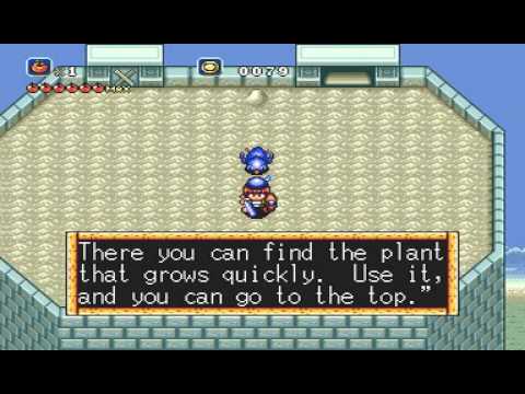 Crusader of Centy (Soleil) Camellia desert - Castle Freesia