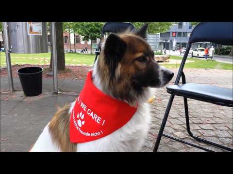 Yes, We Care 2 - Mahnwache in Kaiserslautern