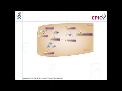CPIC guideline for hydrocodone and CYP2D6