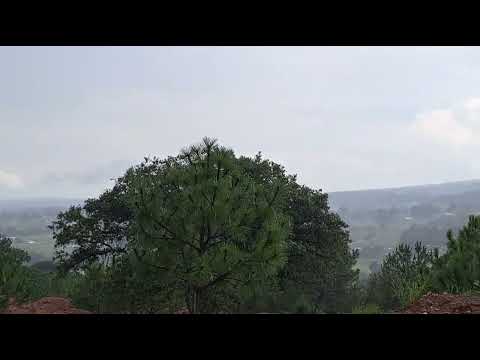 les invito aque vean la serie  escalando el caminito