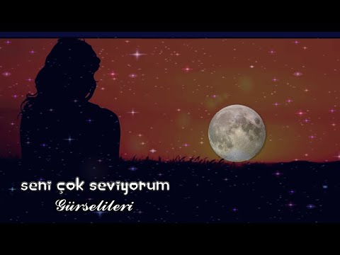 Gürsel İleri - Seni Çok Seviyorum