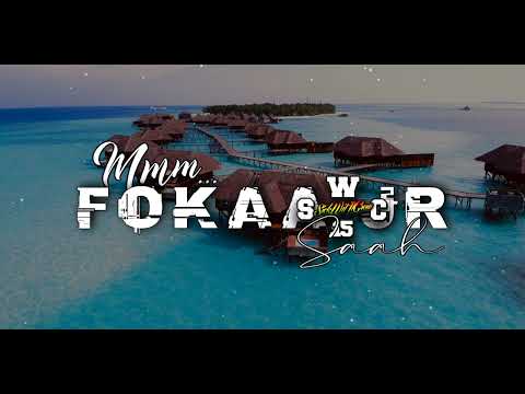 ＦＯＫＡＡ ＪＲ － ＮＥＳＩＡＮ ＳＴＹＬＡＨ ＲＥＭＩＸ [２０２２] ＳＷＣ ＤＪＳ