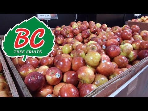 BC Tree Fruits Market - Sponsored Video - Castanet.net