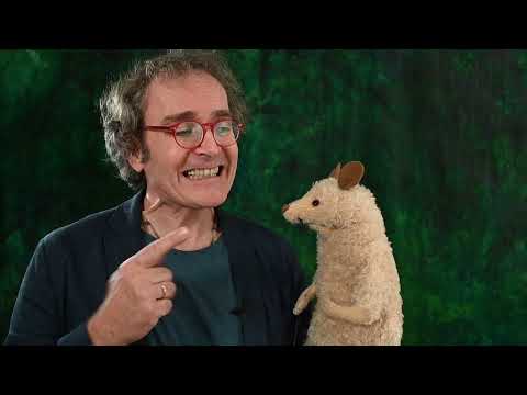 Siehe, ich verkündige Euch große Freude!(Bei dieser Version ist der Ton lauter eingestellt)