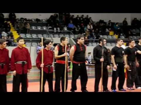 DRAGON TIGER Kung Fu Cup, Oporto, 2011