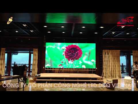 Video dự án