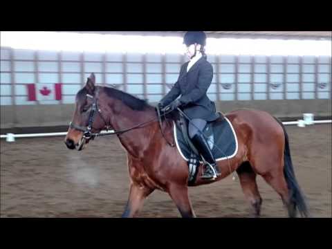 One Hot Tamalie Jan 2016 Intro B
