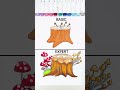 How to color a realistic tree stump with mushrooms — using alcohol markers! ✨🪵