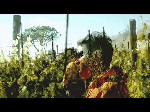 Ganzo - Percoca (slowed + reverb)