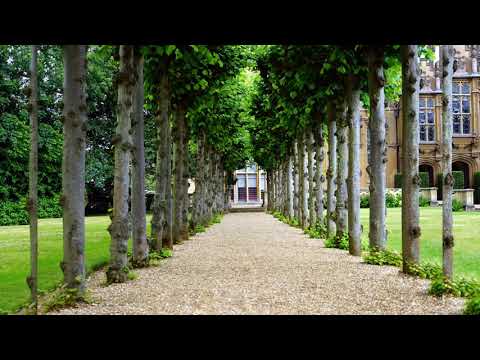 House relax || new and best house music