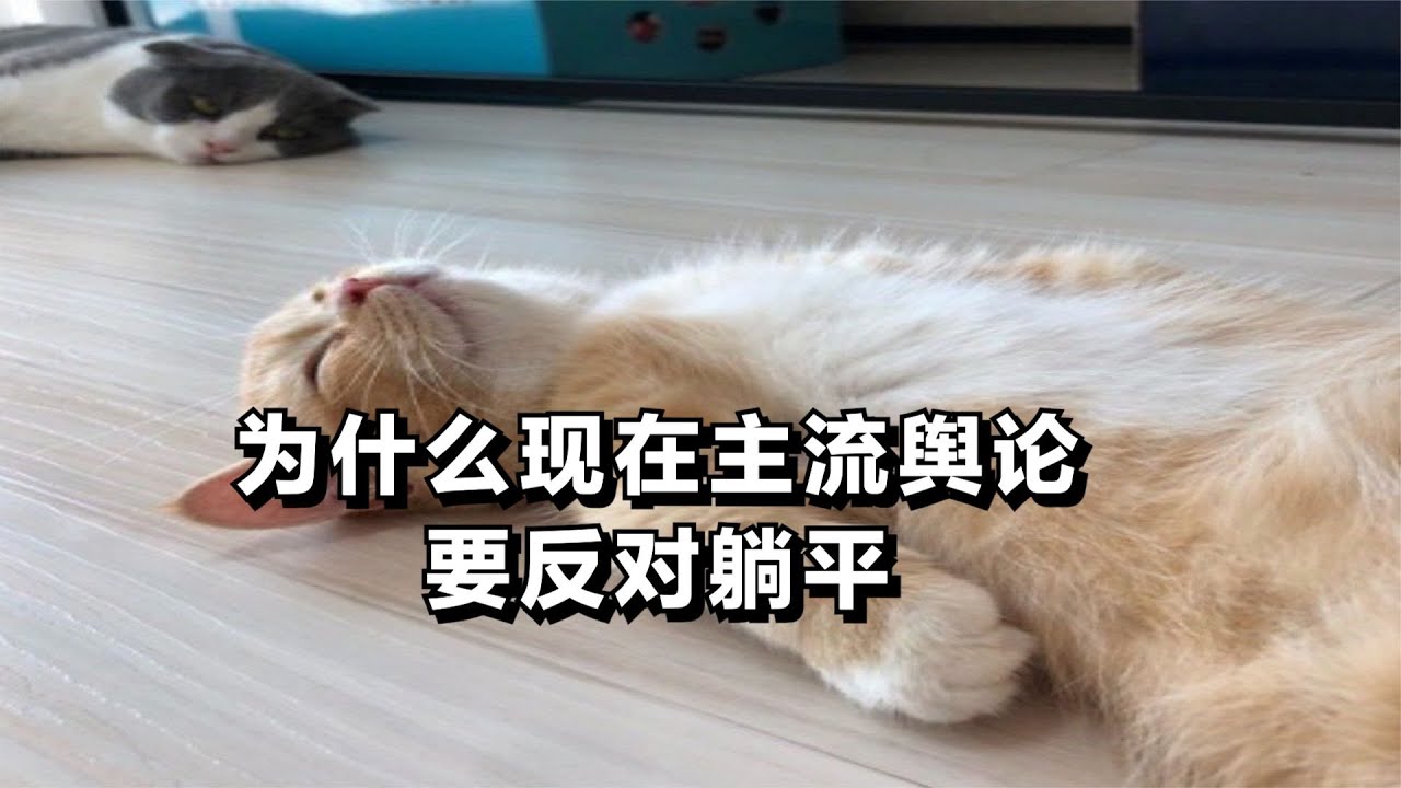 为什么现在主流舆论要反对躺平