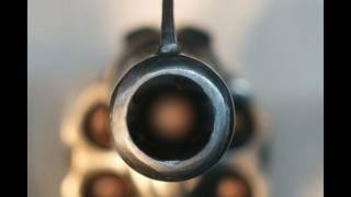 Flava D & DevelopMENT - Gun Down